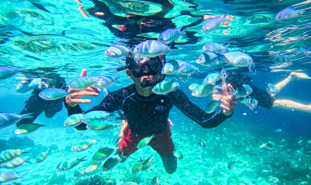 [보홀트래블] 보홀 어메이징 발리카삭 호핑 투어 (한국인 가이드)