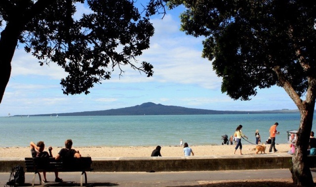 [HINZ투어] 오클랜드 시티 일일 단독 투어 (호텔 픽업 & 샌딩 포함)