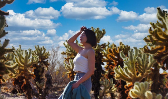 [크리스투어] LA 출발: 조슈아트리 & 살베이션 마운틴 투어