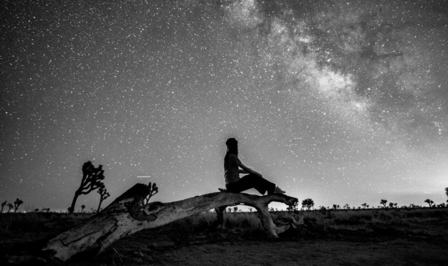 [크리스투어] LA 출발: 조슈아트리 & 살베이션 마운틴 투어