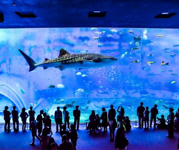 activity_detail_image