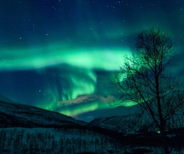 activity_detail_image