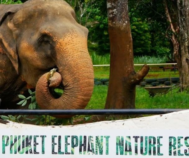 activity_detail_image