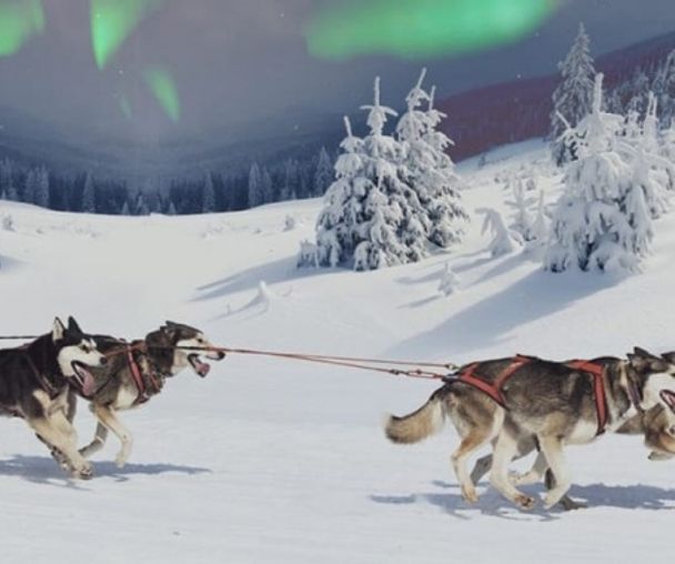 activity_detail_image