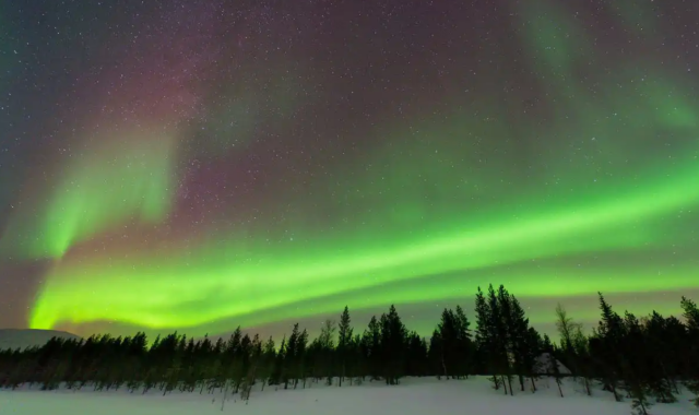 알래스카 페어뱅크스 오로라 일일 투어 (숙소 픽업 & 샌딩 포함)