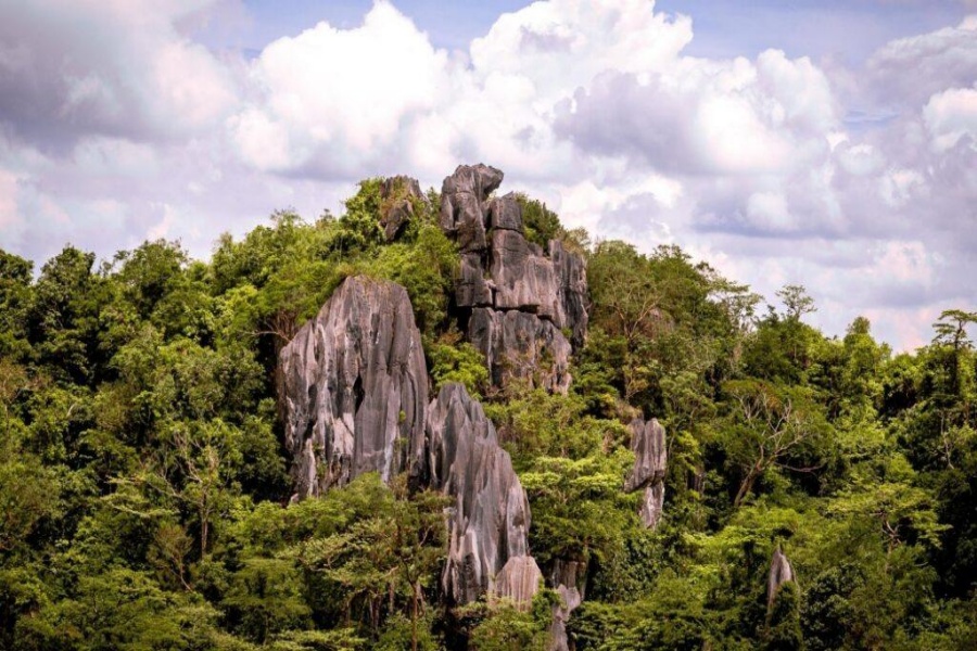 마닐라 마숭이 보존지구 & 핀토 뮤지엄 투어 (코스 선택 가능)