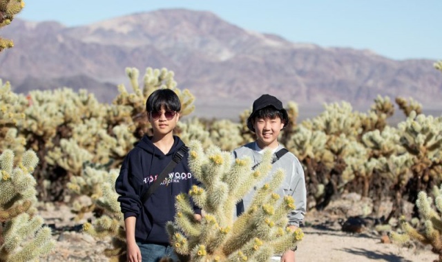 [LA사랑방] LA 출발: 조슈아트리 & 아울렛 & 별밤 일일 단독 투어 (BBQ / 픽업 & 샌딩 포함)