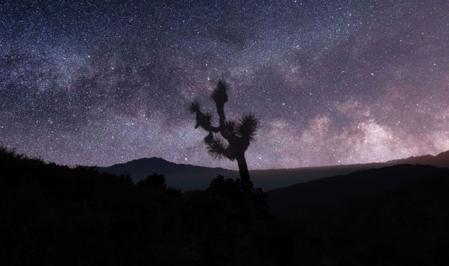[LA사랑방] 석양과 별밤이 있는 조슈아트리 & 데저트힐 아울렛 일일 투어