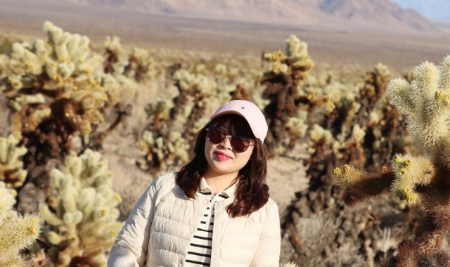 [LA사랑방] 조슈아트리 & 데저트힐 아울렛 투어 - 사막, 석양 그리고 별밤