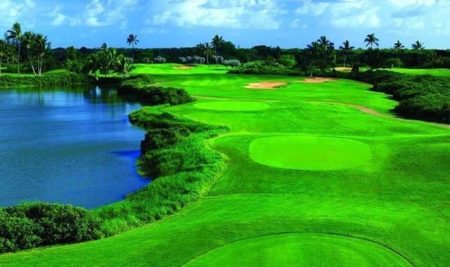하와이 오아후 프린스 골프 클럽 - 18홀 그린피 + 카트피
