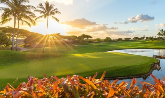 하와이 오아후 카폴레이 골프 클럽 - 18홀 그린피 + 카트피