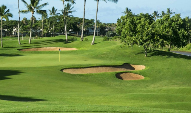 하와이 오아후 카폴레이 골프 클럽 - 18홀 그린피 + 카트피