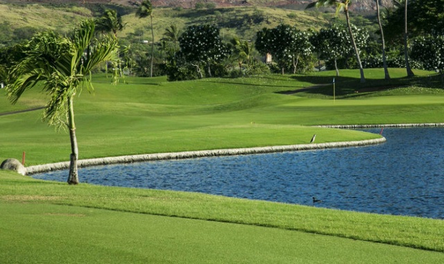 하와이 오아후 카폴레이 골프 클럽 - 18홀 그린피 + 카트피