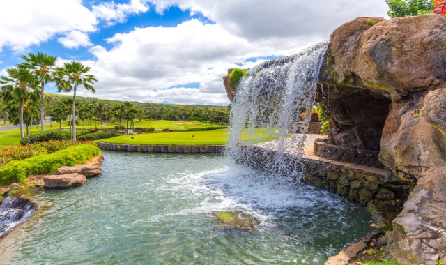 하와이 오아후 코올리나 골프 클럽 - 18홀 그린피 + 카트피