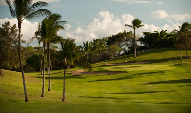 하와이 오아후 코올리나 골프 클럽 - 18홀 그린피 + 카트피