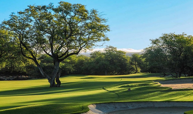 하와이 빅아일랜드 마우나라니 골프 클럽 - 18홀 그린피 + 카트피