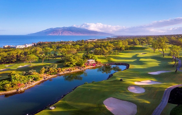 하와이 마우이 와일레아 골프 클럽  - 18홀 그린피 + 카트피