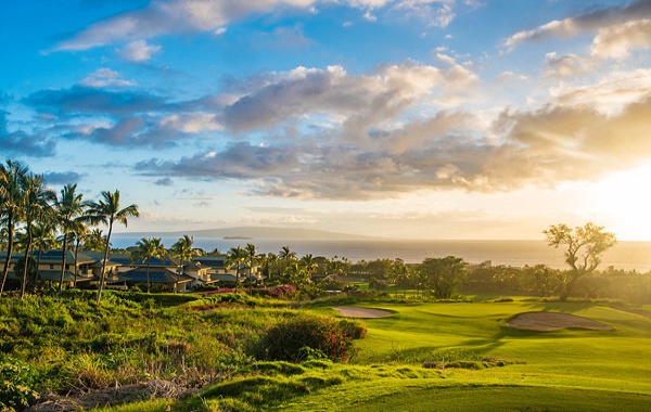 하와이 마우이 와일레아 골프 클럽  - 18홀 그린피 + 카트피