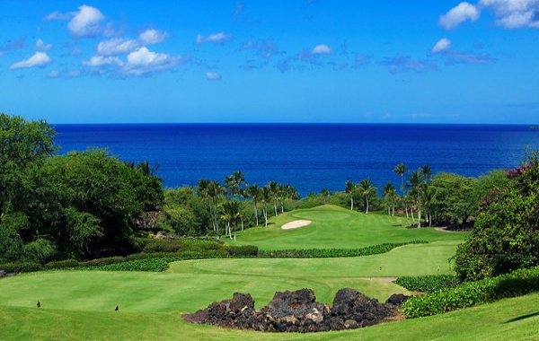 하와이 마우이 와일레아 골프 클럽  - 18홀 그린피 + 카트피