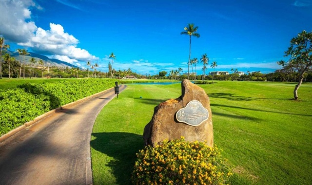 하와이 마우이 카아나팔리 골프 클럽 - 18홀 그린피 + 카트피