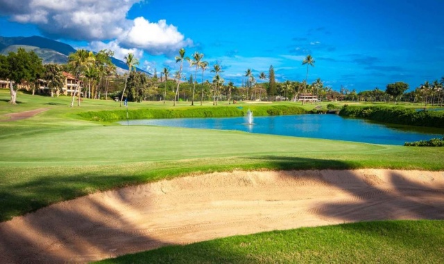 하와이 마우이 카아나팔리 골프 클럽 - 18홀 그린피 + 카트피