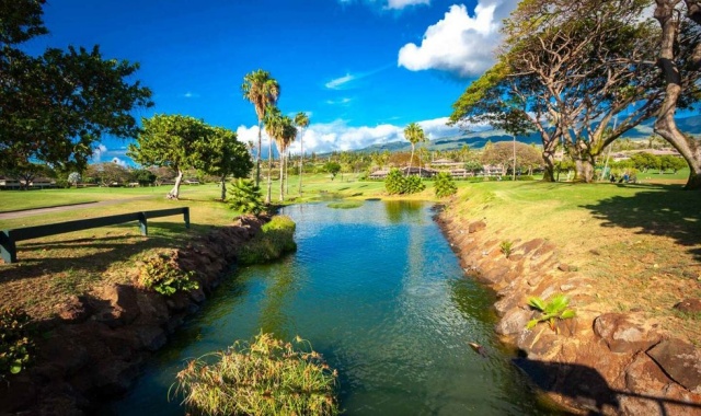 하와이 마우이 카아나팔리 골프 클럽 - 18홀 그린피 + 카트피