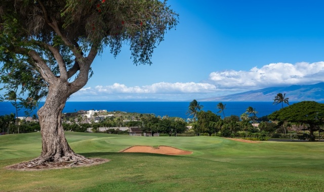 하와이 마우이 카아나팔리 골프 클럽 - 18홀 그린피 + 카트피