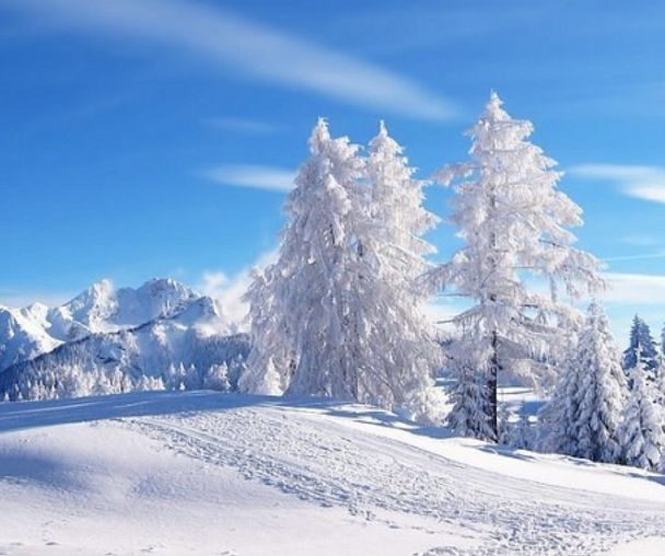 activity_detail_image