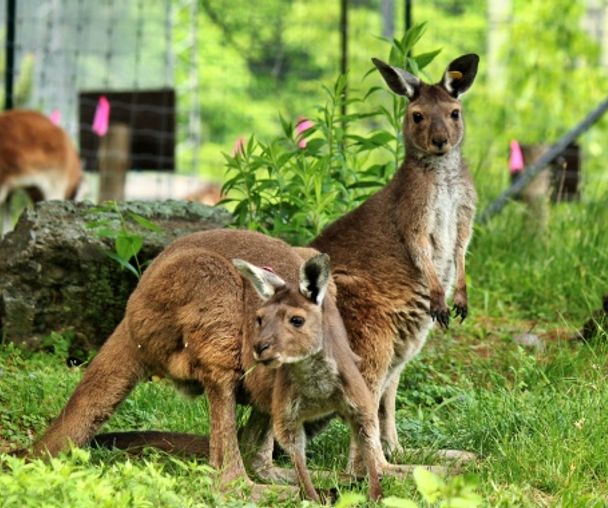 activity_detail_image