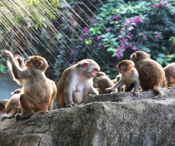 activity_detail_image