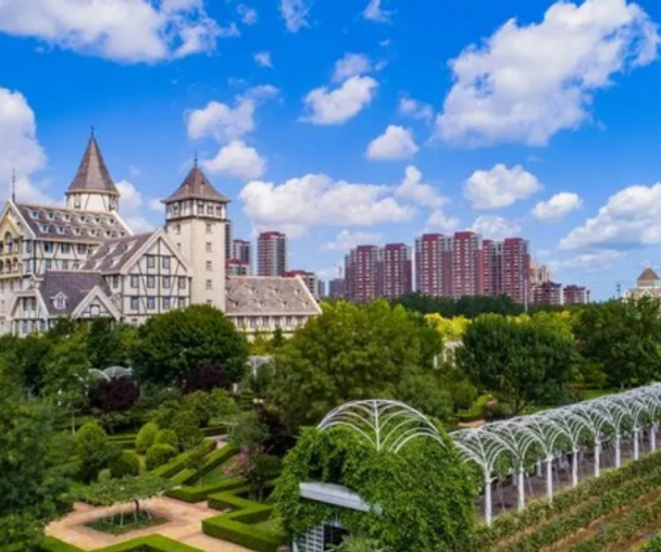 activity_detail_image