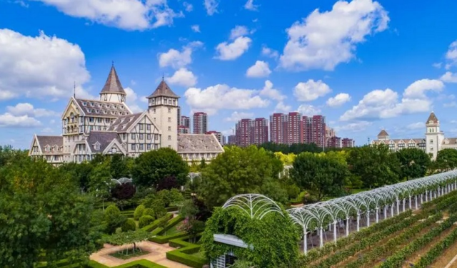 칭다오 황도 인스타그램 인생샷 일일 투어