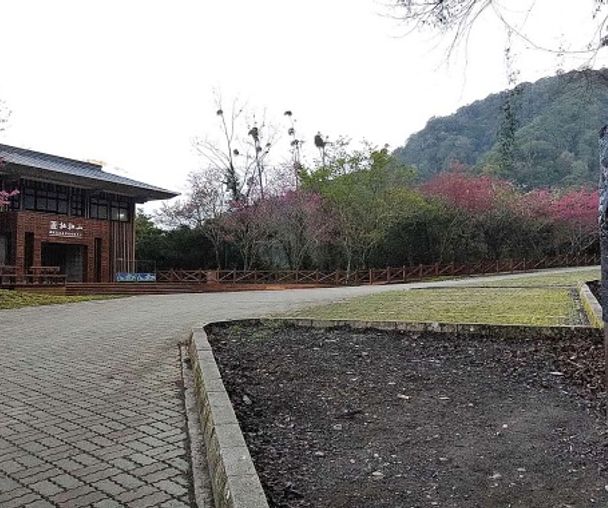 activity_detail_image