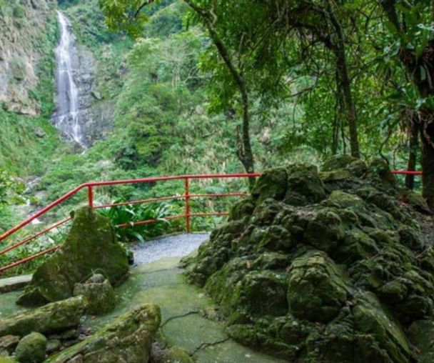 activity_detail_image