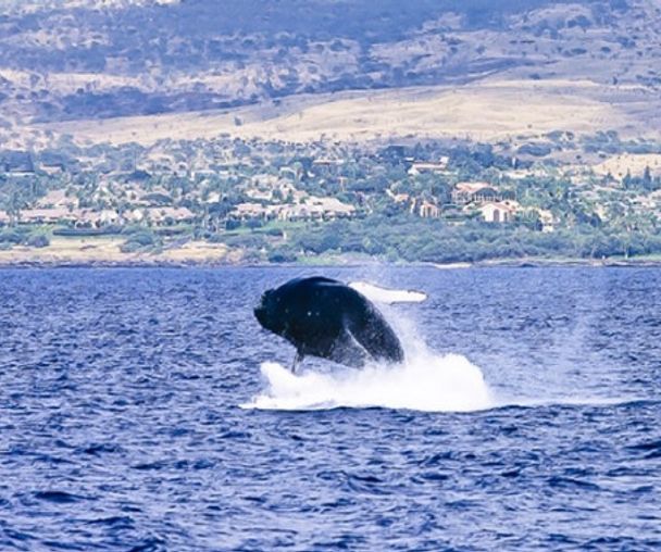 activity_detail_image