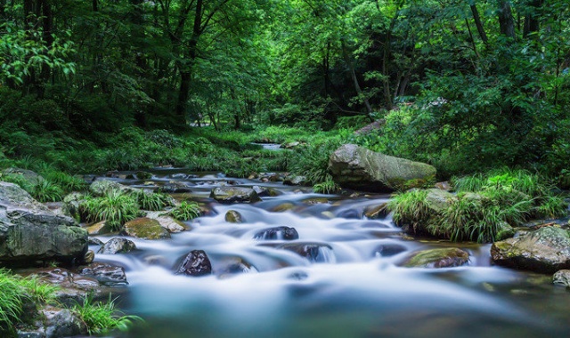 장가계 국립공원 천자산 & 원가계 워킹 투어