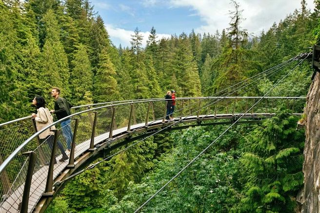 Vancouver: Capilano Suspension Bridge Park Ticket