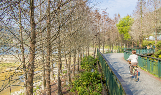 台湾 日月潭(サンムーンレイク) クルーズ & レンタサイクル チケット