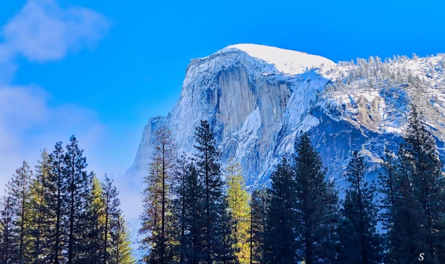 [US캠핑투어] LA 출발: 요세미티 국립공원 하루 만에 보는 인생 사진 투어