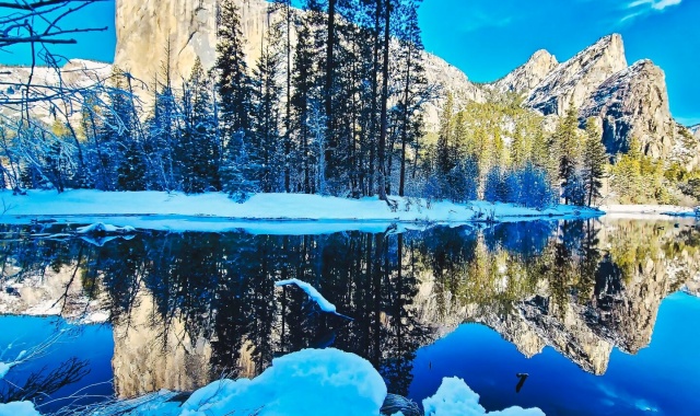 [US캠핑투어] LA 출발: 요세미티 국립공원 하루 만에 보는 인생 사진 투어