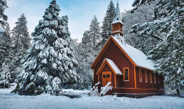 [US캠핑투어] LA 출발: 요세미티 국립공원 하루 만에 보는 인생 사진 투어