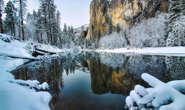 [US캠핑투어] [1박2일] LA 출발: 요세미티 감성 캠핑 바베큐 별빛 투어