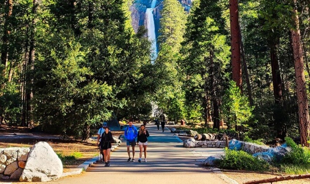[US캠핑투어] 샌프란 출발: 요세미티 국립공원 & 글래시어 포인트 투어