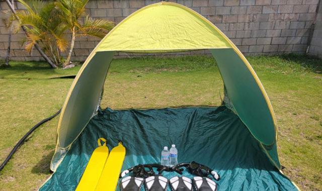 [얼리버드할인] 하와이 하나우마베이 워크인 스노클링 투어 (왕복 교통 + 장비 제공 + 테디스 버거)