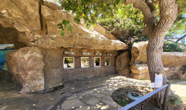 [얼리버드할인] 하와이 하나우마베이 워크인 스노클링 투어 (왕복 교통 + 장비 제공 + 테디스 버거)