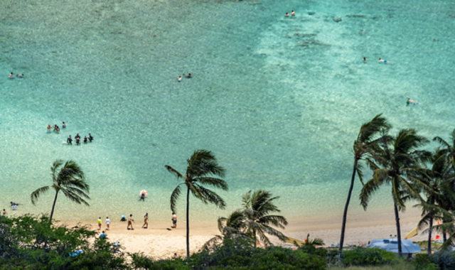 [얼리버드할인] 하와이 하나우마베이 워크인 스노클링 투어 (왕복 교통 + 장비 제공 + 테디스 버거)