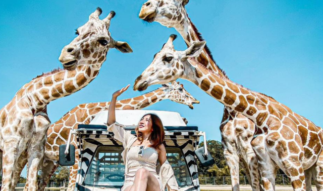 방콕 칸차나부리 사파리 & 콰이 강의 다리 일일 투어