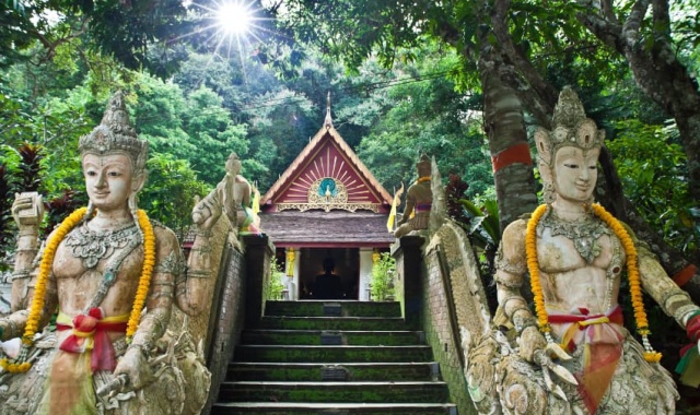 치앙마이 힐 트라이브 롱 넥 빌리지 & 왓 파랏 반일 투어 (코끼리 먹이 주기 체험 선택 가능)