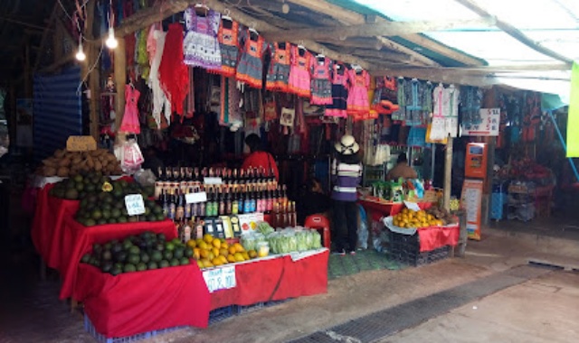 치앙마이 도이 인타논 국립공원 일일 투어 - WAUG Exclusive