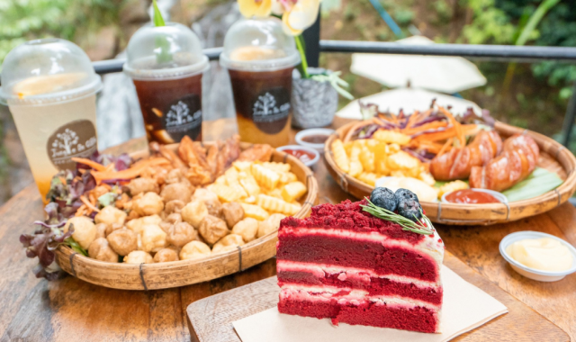 치앙마이 퐁양 어드벤처 파크 입장권